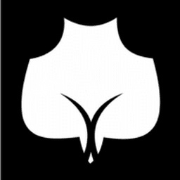 Fine Love Dolls logo