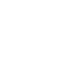 Nastia AI logo