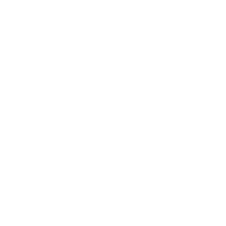 PleasureDomes AI logo