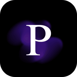 Privee AI Professional logo