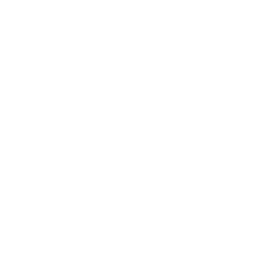 Transsensual logo