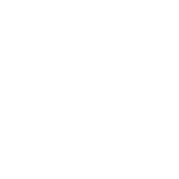 VR Paradise logo