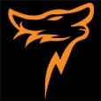 Wolfwagner logo