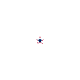 Naughty America logo
